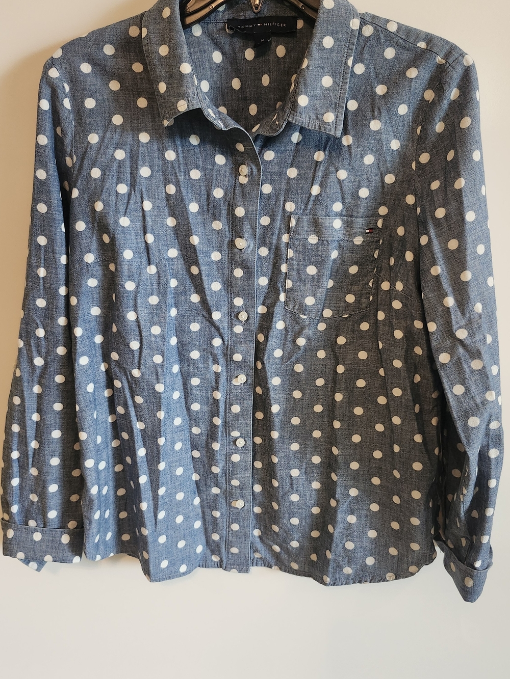 Tommy Hilfiger Blue Polka Dot Button-Down Shirt